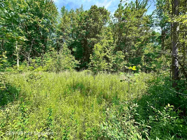 Dale Rd, Beaverton, MI 48612