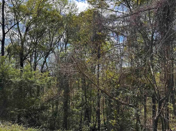 11 Wright Way Dr, Wedowee, AL 36278