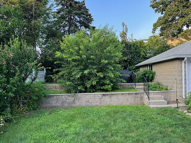 Back Lawn