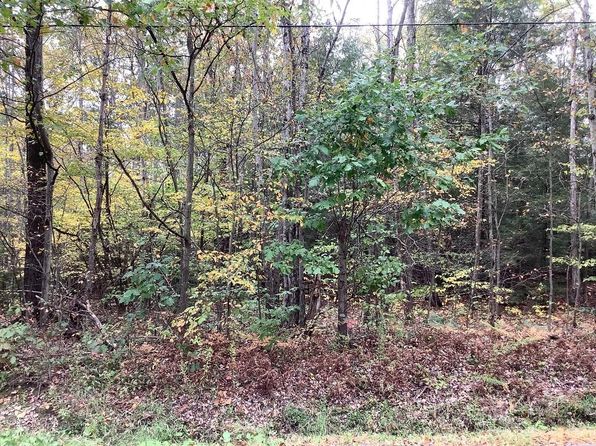 101 Butterfield Rd, Lisle, NY 13797