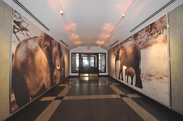 Rented by Corcoran | media 33