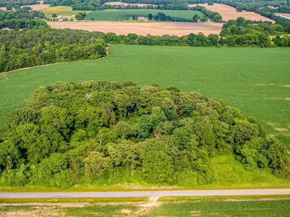 Cooper Ln, Rogersville, AL 35652