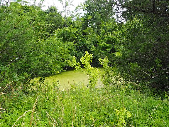 3rd image of 8185 Camp Ernst Rd