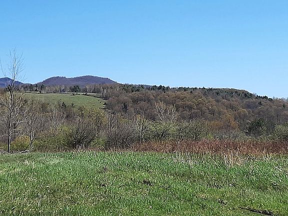 South - pastoral views