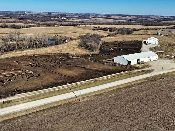 Ringgold County Farmland For Sale 9 