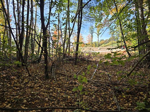 3rd image of Cottage Road