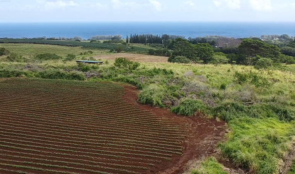 28561 Opua Rd, Pepeekeo, HI 96783 Zillow