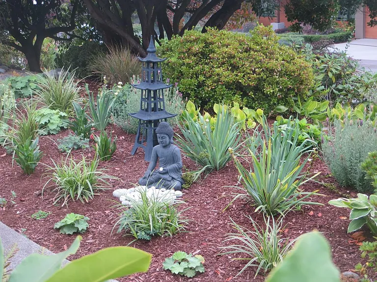 Front entrance Zen garden