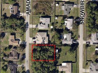 1229 Amador Ave NW, Palm Bay, FL 32907