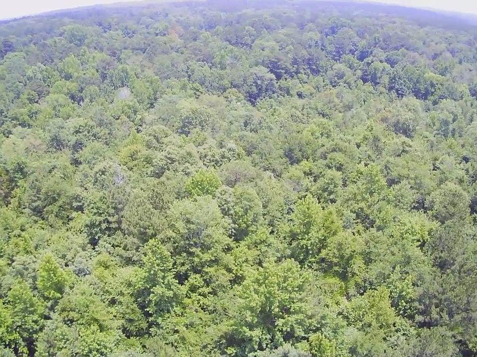 2nd image of 533 J Hue Wiley Rd