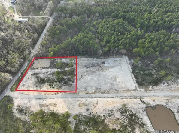 29581 George White Rd, Holden, LA 70744