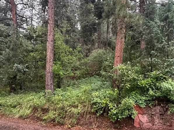 9465 Ute Rd, Cascade, CO 80809