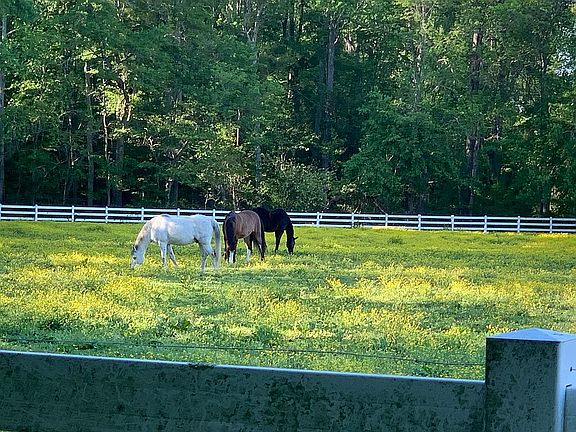 View behind the property