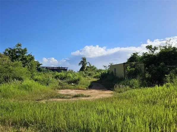 Iglesia De Dios Mb Zarza Adiente Membrillo, Camuy, PR 00627