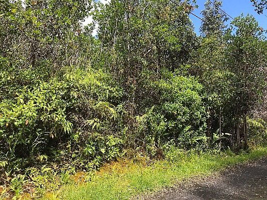 5th image of Road 3 Hopue Lot 3008