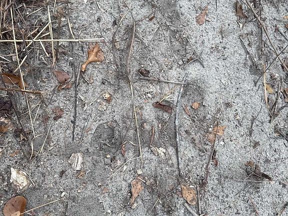 5th image of Qbf 9 Quattlebaum Rd #Qbf-9