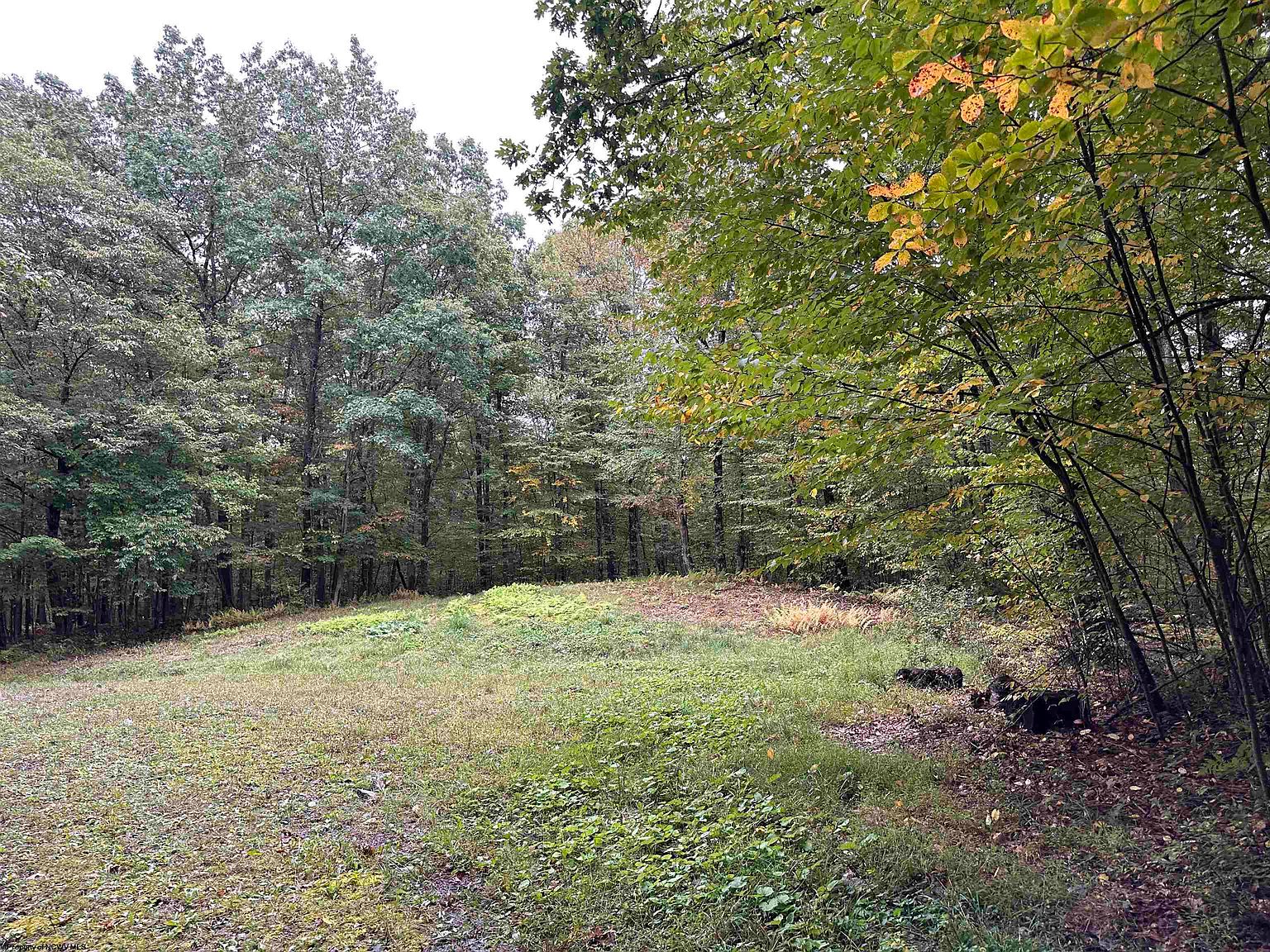4 Deckers Trail Rd, Masontown, WV 26542 MLS 10151271 Zillow