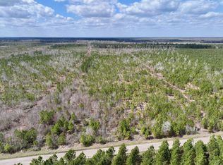 LOT 4 Guinea Mill Rd, Ernul, NC 28527