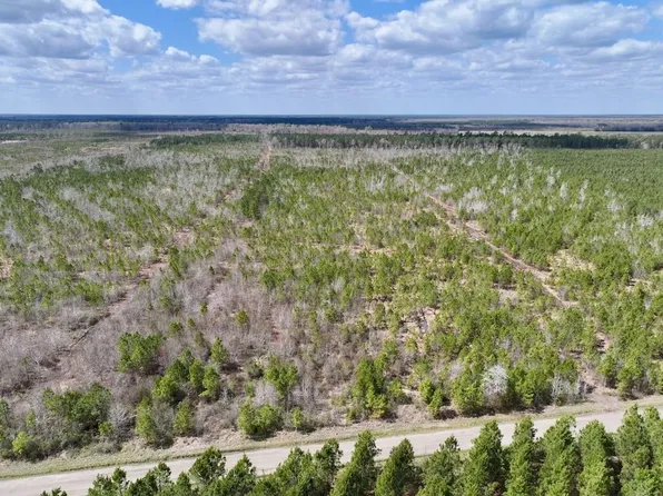 LOT 4 Guinea Mill Rd, Ernul, NC 28527