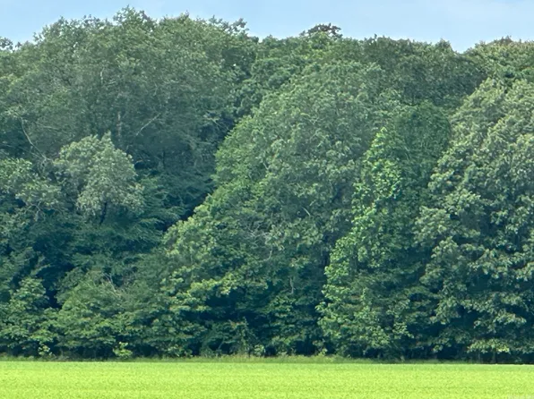 189 Highway N, Hamburg, AR 71646