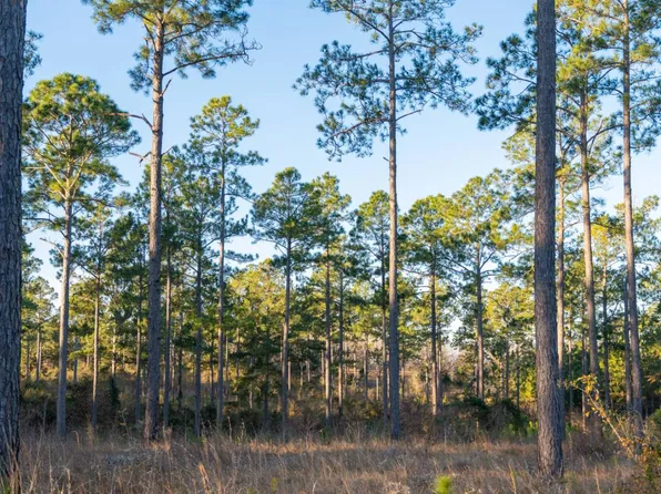 0 County Line Rd, Albany, GA 31705