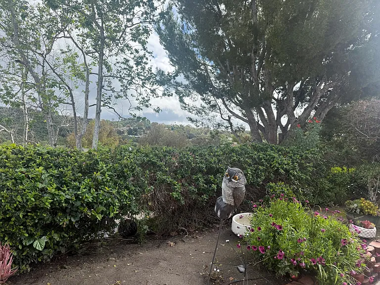 22242 Platino — Photo 37