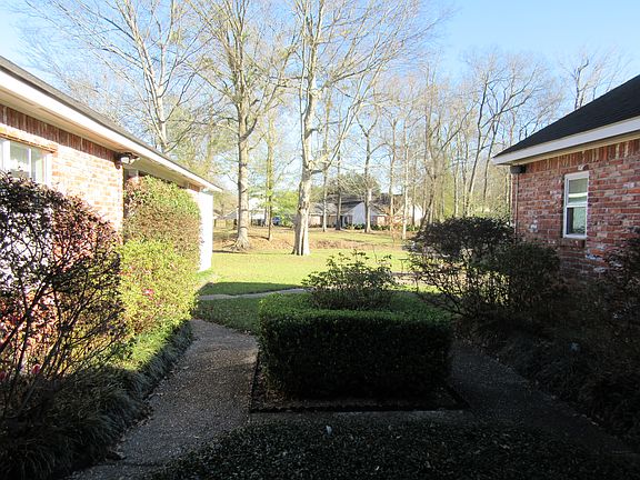 View of backyard 