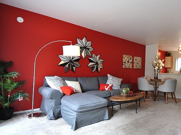 Accent Wall Options!