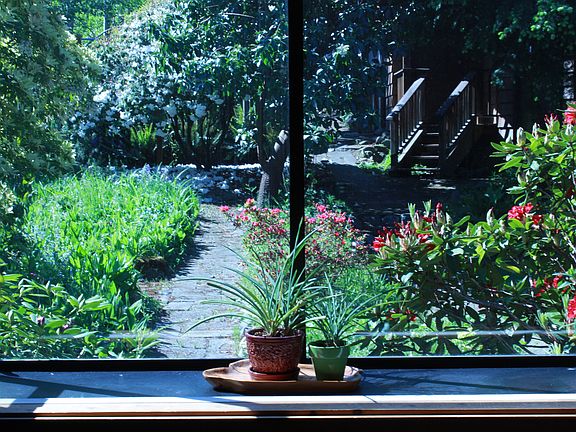 Garden view