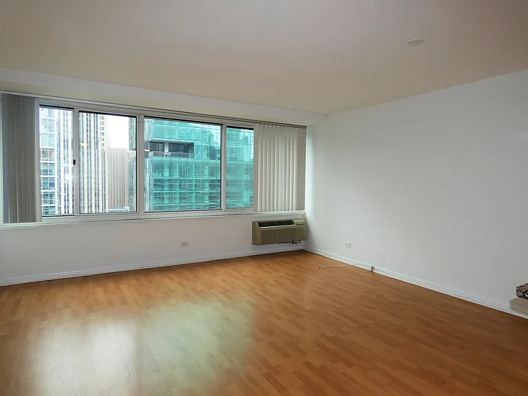211 E Ohio St #2719 — Photo 11