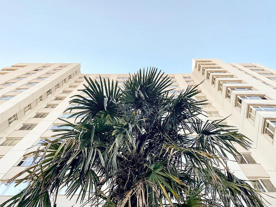 Park Tower