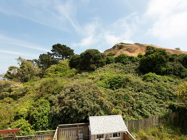 View of Corona Heights from back