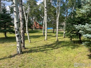 27667 Buckhorn Rd, Bellvue, CO 80512
