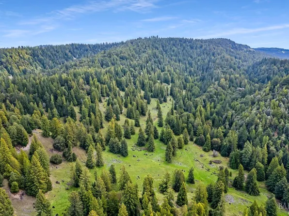 3611 Flynn Creek Road, Comptche, CA 95427