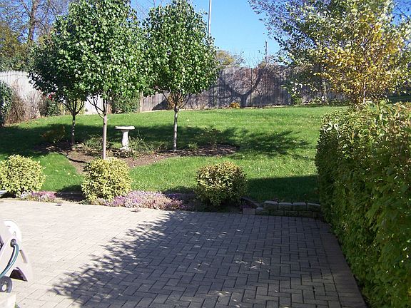 Part of patio & backyard - side of house