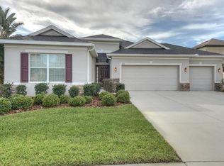11105 Wembley Landing Dr, Lithia, FL 33547