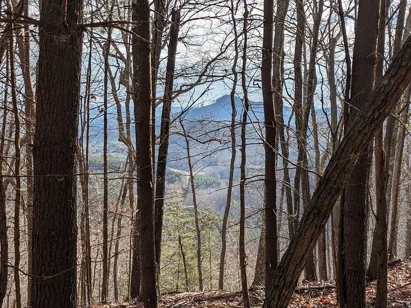 0 Fire Tower Rd #17, Bostic, NC 28018