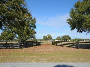 28901 Shirley Shores Rd, Tavares, FL 32778