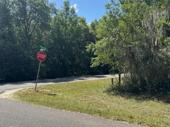 101 ROSE Drive, Interlachen, FL 32148