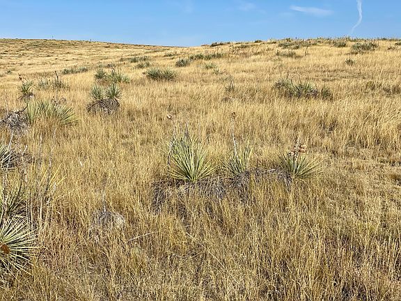 5th image of 3 S County Rd #4