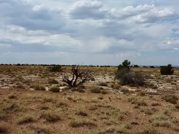 2 Pinto Rd, Winslow, AZ 86047