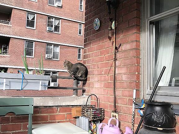 3rd image of 455 Franklin D Roosevelt Dr APT B204
