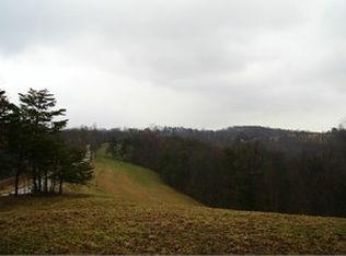 1213 Broomstick Rd, Big Bend, WV 26136