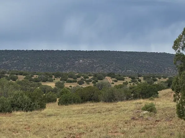N 8485th, Concho, AZ 85924