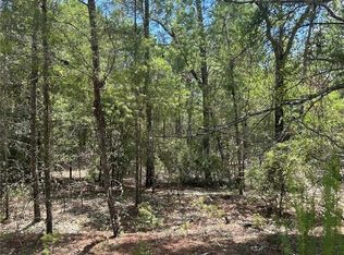 121 Pear St LOT 13, Welaka, FL 32193