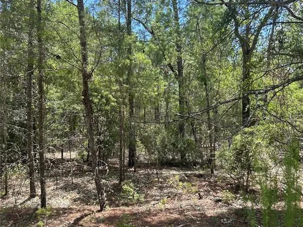 121 Pear St Lot 13, Welaka, FL 32193