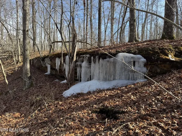 37 Crystal Point Lot 37, Monterey, TN 38574