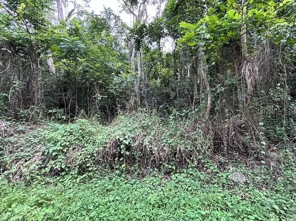 Bo Candelaria Prairie Campo Nuevo Azucena St #647-1, Vega Alta, PR 00692