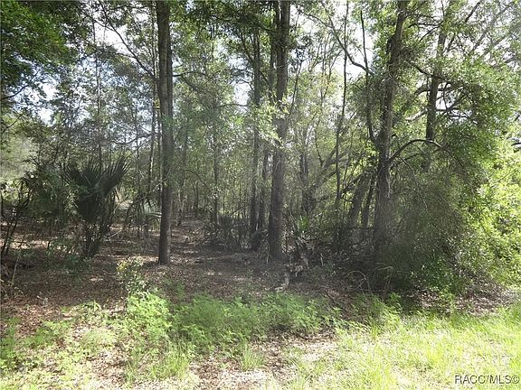 5th image of 8409 W Elaine St