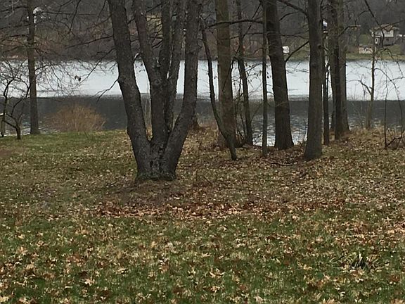 4th image of 10960 Lewis Dr